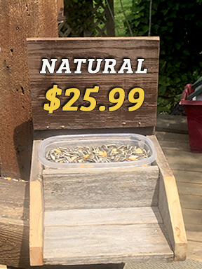 Squirrel Feeder